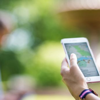 Royal Walks – New app for Royal Djurgården