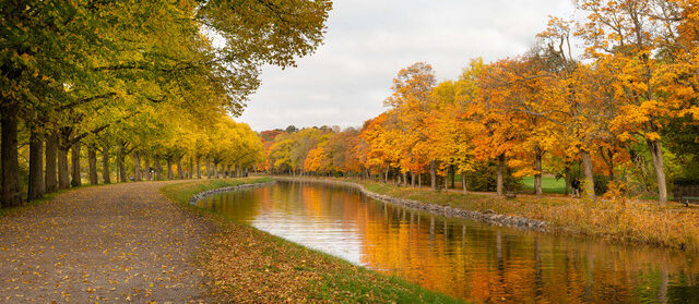 Djurgårdskanalen en dag på hösten
