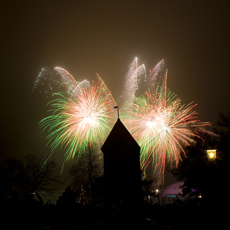 Celebrate New Years with us at Royal Djurgården!