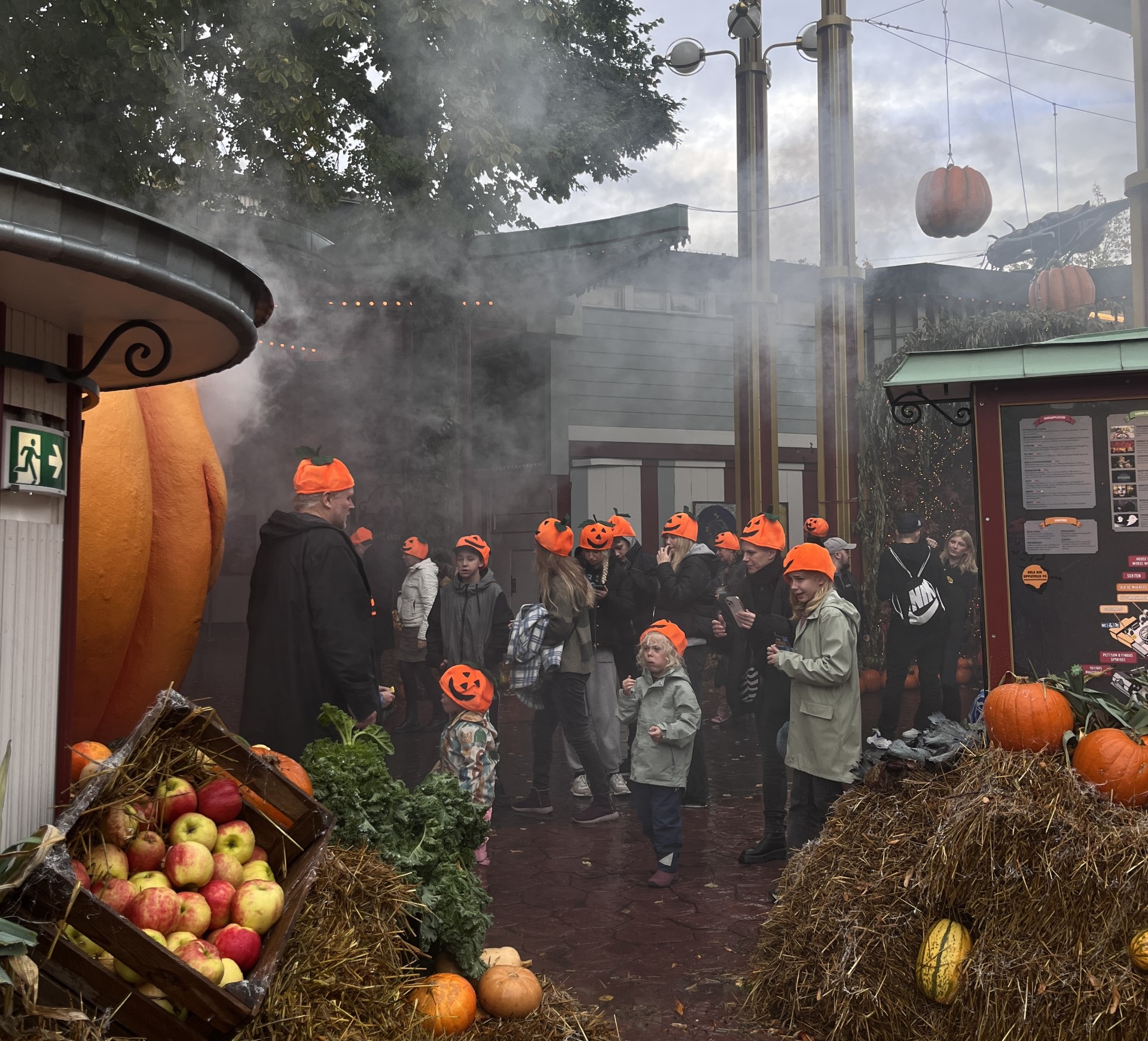 Autumn break 2024 Royal Djurgarden