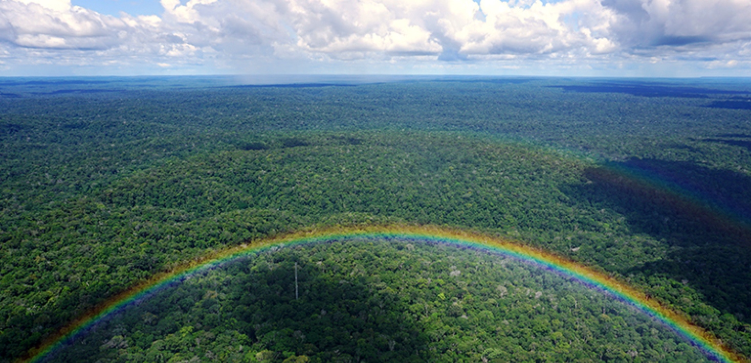 Rainbow over Amazonas