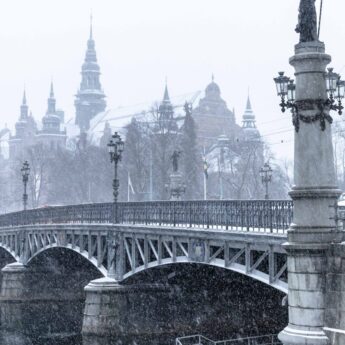 Trafikinformation inför Skansens julmarknad och om Djurgårdsbommen.