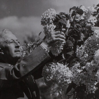 Föredrag: Prins Eugens kärlek till det blommande