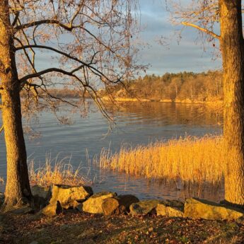 Klimatvandring – från urtiden till framtiden