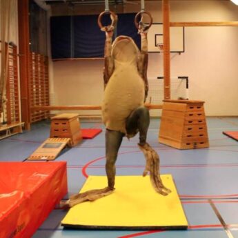 Impact – Tore A Jonassons samling